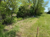 20200502 east fenceline 2.JPG