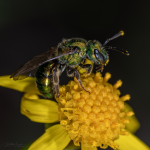 2020-05-03_15-29-27_0094.png