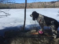 E204C10E-964B-4A05-9B8F-E513D6C52685.jpeg