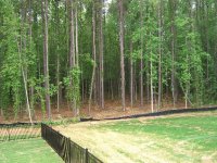 879259-Post-Mulch3.jpg