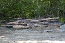 Log3 (Medium).jpg
