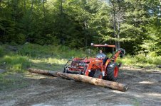 Log Honey (Medium).jpg