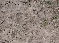 879940-small_dirt.JPG