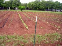 880080-Week4-2.jpg