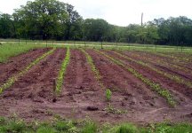 880081-Week4-3.jpg