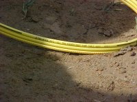 880707-MVC-497S.JPG