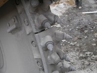 Rocksaw Teeth_W.JPG