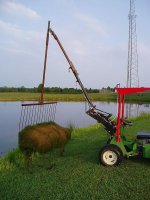 868751-pond rake.JPG