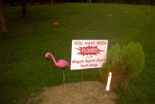 Flamingo2.jpg