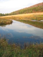 IMG_0994.JPG