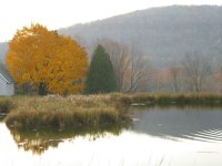IMG_1005.JPG