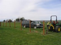 869036-Fence 2 (Small).JPG