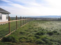 869040-Fence 4 (Small).JPG