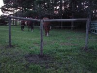 881709-posts.jpg