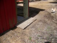 3-8-20 Fritz Looks At The Concrete Porch.jpg