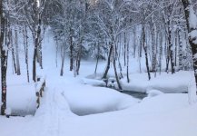 pedbridgesnow90.jpg