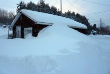 bossinsnow3 (2).jpg