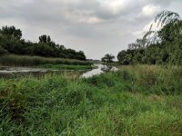 IMG_20180815_164641.jpg