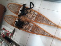 snowshoes.jpg