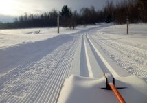 goodtracksCR20l140.jpg