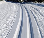 CR grooming Feb 2014. tracks.jpg