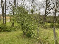 IMG_4346.JPG