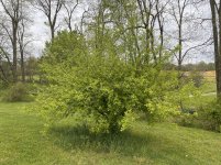 IMG_4347.JPG