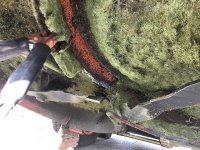 IMG_4027.jpeg