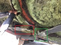 IMG_4027.jpeg