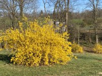 IMG_3859.JPG
