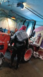 fRozen fRed.jpg