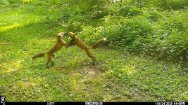 IMG_0468.JPG
