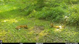 IMG_0533.JPG