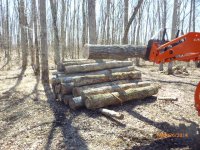 Boulders,Tree Stumps,Long Timbers,Tomato Patch 3-14 002.jpg