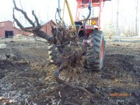 Boulders,Tree Stumps,Long Timbers,Tomato Patch 3-14 013.jpg
