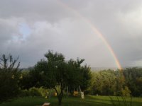 20140810_191852.jpg