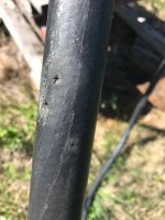 IMG_3324.jpeg