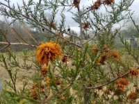 20180415_105842.jpeg