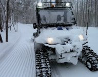 Rhino rolls River T.II.jpg