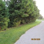 IMG_9229.JPG