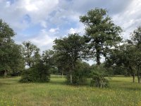 IMG_1866.jpg