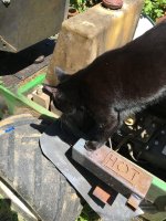 cat0.jpg cat0.jpg