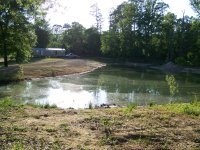 4-14-20 Dam View From Driveway.jpg