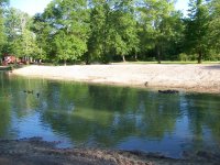 4-14-20 Dam From Fence Line.jpg