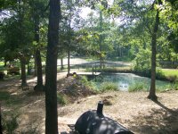 7-19-20 Ponds.jpg