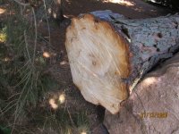 IMG_0480.JPG