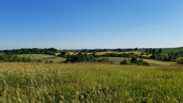 20180702_185032.jpg