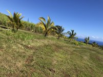 IMG_1870.JPG