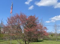 IMG_4002.JPG