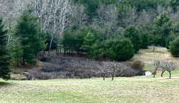 IMG_0552.jpg